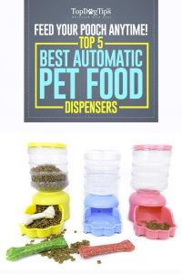 Top Best Automatic Dog Food Dispenser