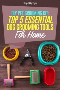 Top Best Grooming Tools for Dogs