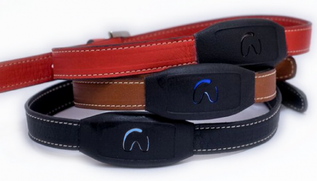 With This Collar Your Dog Can Tweet Messages About His Day