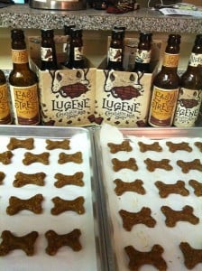 Beer By-Product Being Turned Into Brew Chews for Dogs