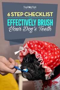 Dog Teeth Brushing Checklist