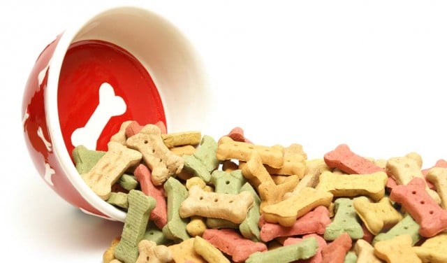 How to Know Which is the Healthiest Dog Food