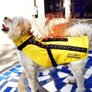 Protect Your Dog From Predators with The CoyoteVest