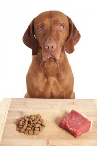 The Raw Food Diet for Dogs - BARF