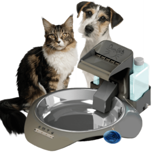 SmartLink Feeders and Waterers Are Ideal for Busy Dog Owners