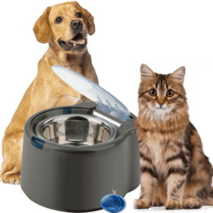 SmartLink Feeders and Waterers Are Ideal for Busy Dog Owners