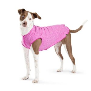 Sun Shield Tees Can Protect Your Dog From the Sun