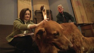 The Laurel Canyon Animal Company Specializes in Music for Dogs