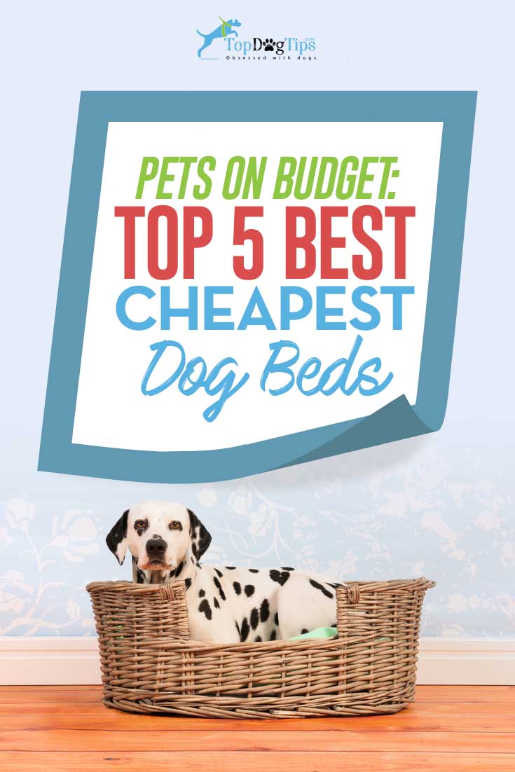 Top Best Cheap Dog Beds