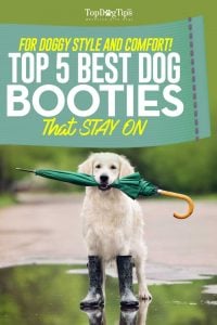 Top Best Dog Booties That Stay On