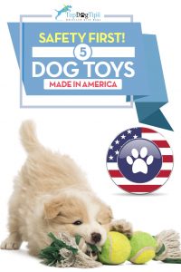 Top Best Dog Toys Made in America