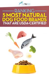 Top Best Natural Dog Food