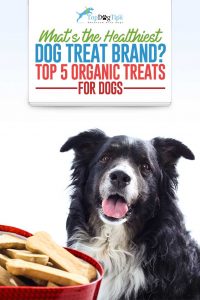 Top Best Organic Dog Treats