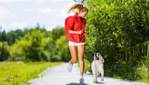 Walking Your Dog - A Guide To Do It Safely