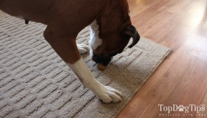 Welcome Waggin' Homemade Dog Treats Review