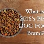 What is the best dog food brand - Top 10 Dog Foods for Puppy