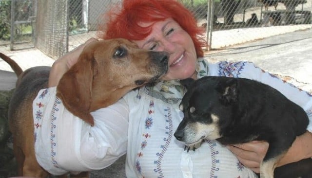 Woman Sacrifices Everything to Save Hundreds of Dogs in Need