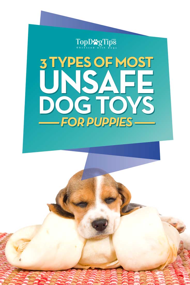 3 Most Unsafe Dog Toys for Puppies