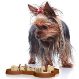 A Yorkie using the Guzzle Muzzle Slow Dog Feeder