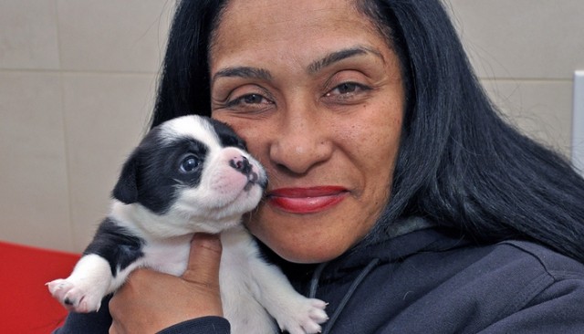 6 Day Old Pup Recovers Beautifully From Dangerous Surgery