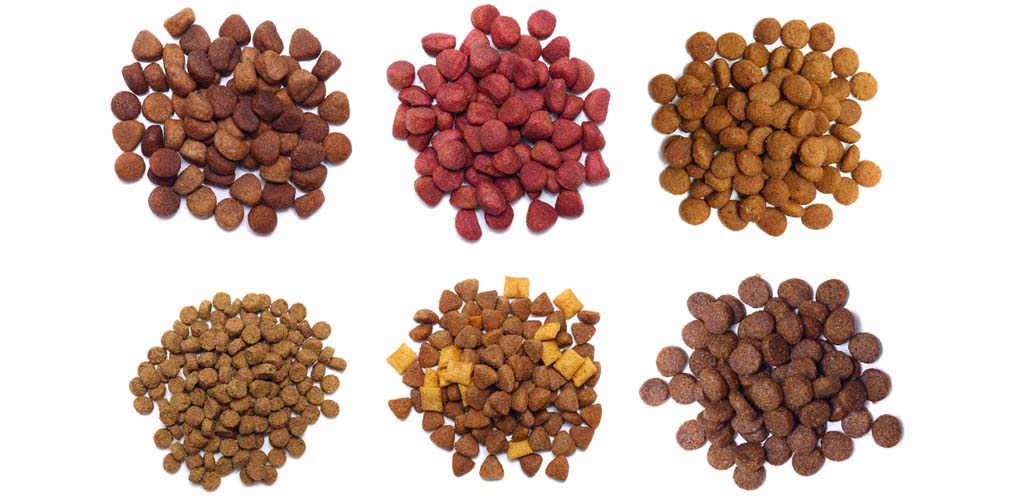 Additives in Dog Foods