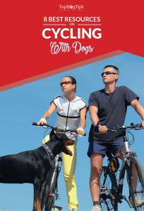 Best Blogs About Biking with Dogs