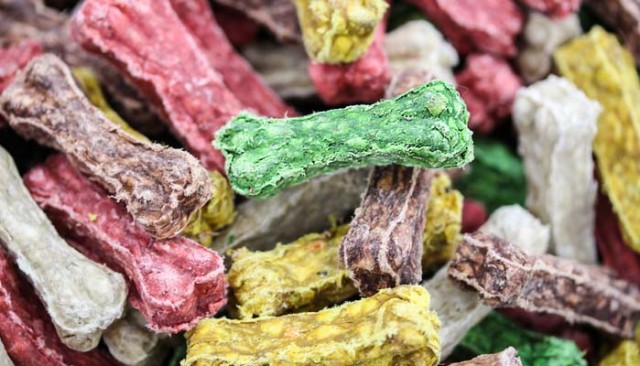 Best Organic Dog Treats