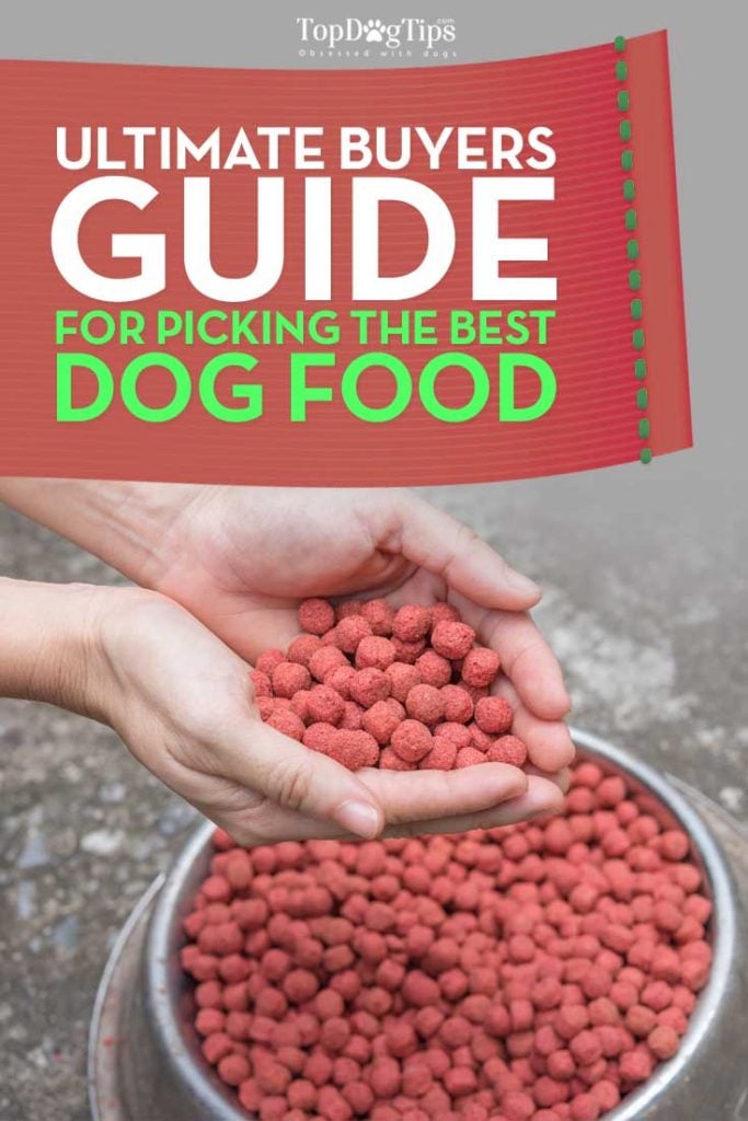 Buyers Guide of Best Food for Dogs