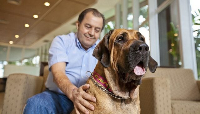 Canadian Hospital Welcomes Dogs with Open Arms