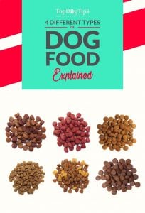 Different Types of Dog Food