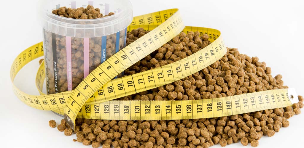 Dog Diets and How to Implement Them