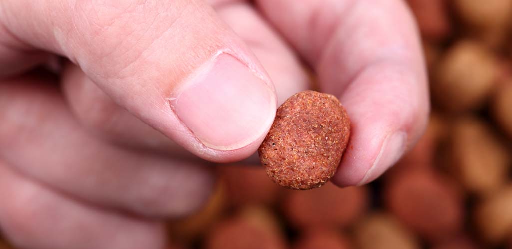 Dog Food Terminology Explained