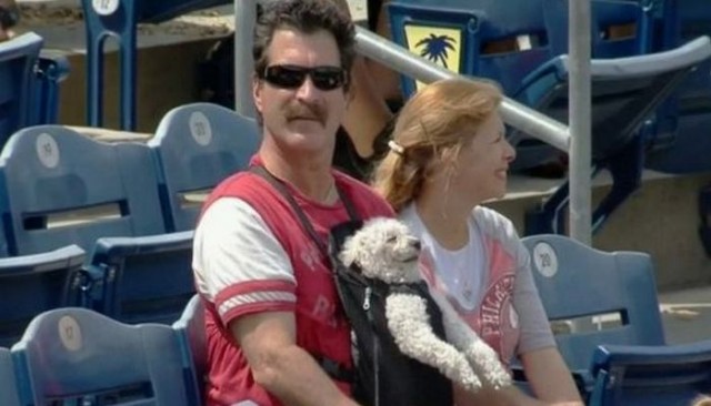 Dog Wins Big At The Ball Park