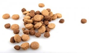 Dry dog food