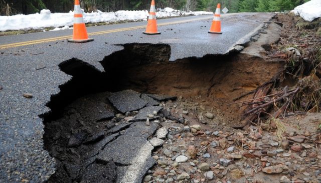 German Shepherd Survives 3 Days In a Sinkhole