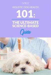 Science-based Holistic Dog Health Guide