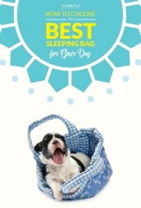 How to Choose a Dog Sleeping Bag