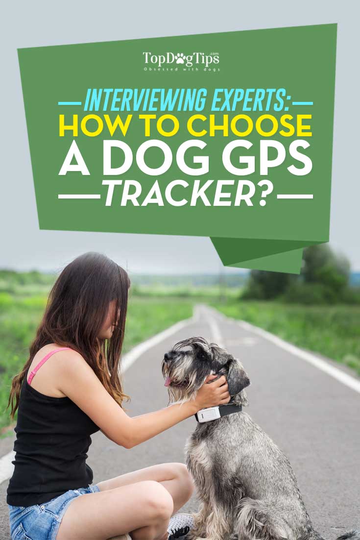 How to Choose the Best Dog GPS Tracker