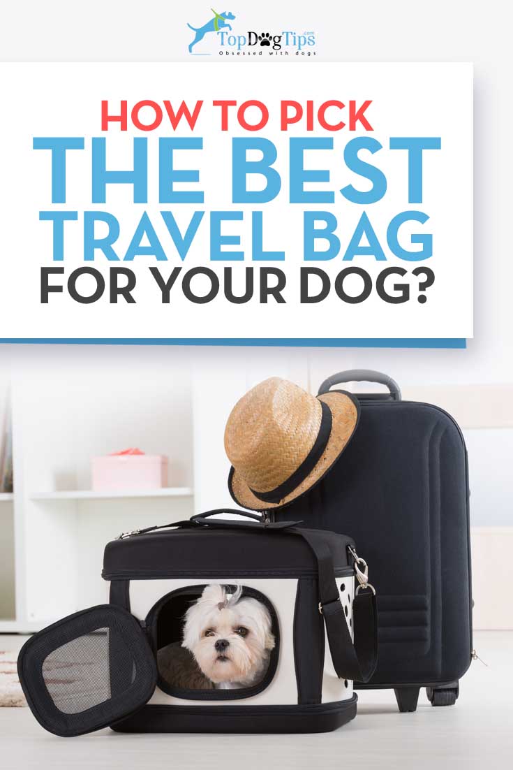 How to Choose the Best Dog Travel Bags