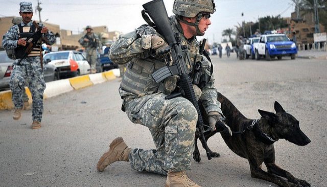 Marine Dog, Lucca, Receives Top Honors