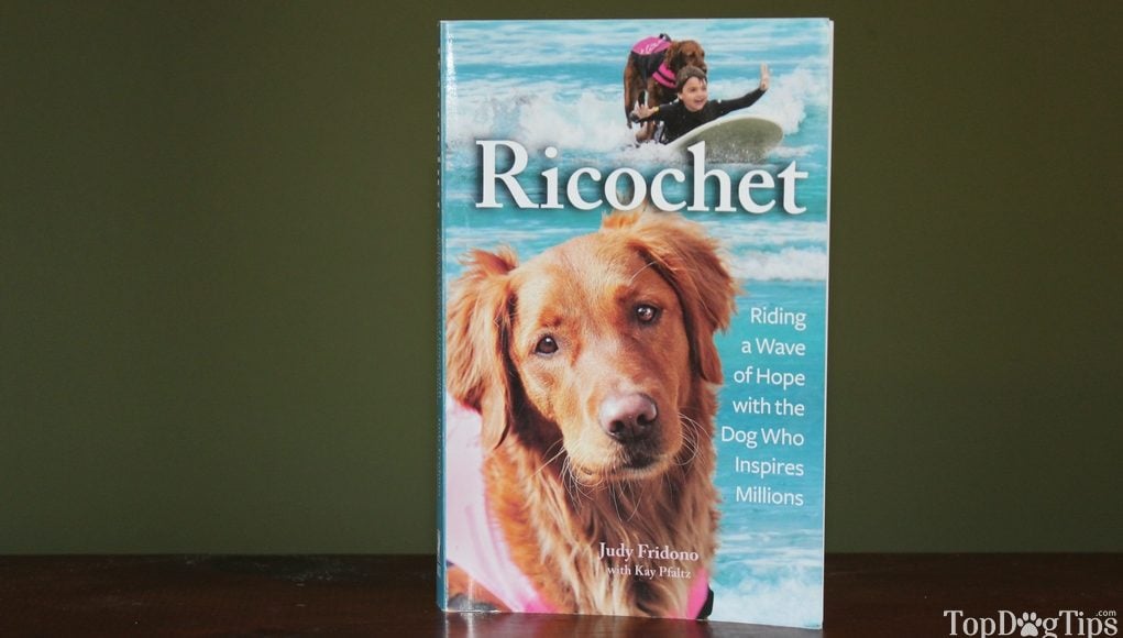 Ricochet Written By Judy Fridono