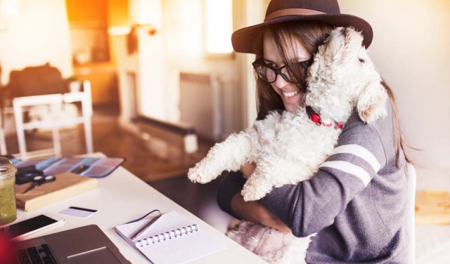 Take Your Dog to Work Day