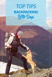 Tips for Backpacking with Dogs