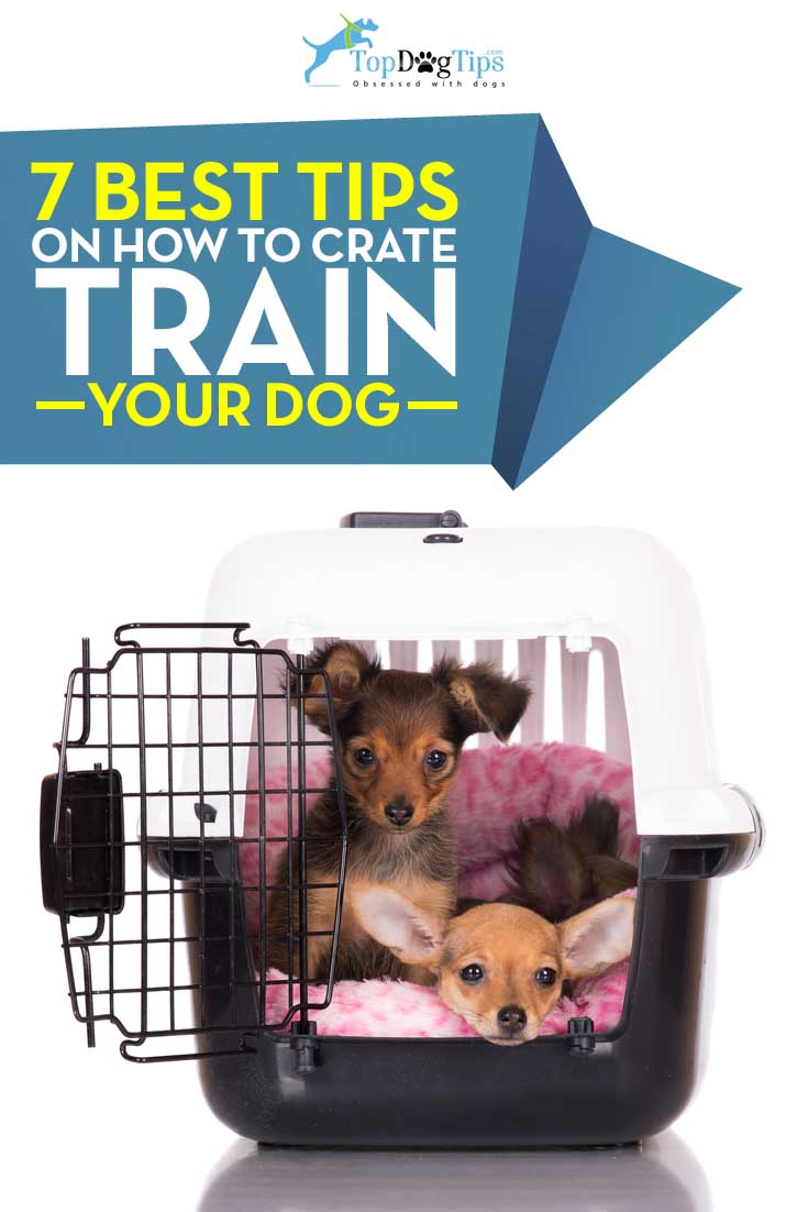 Tips for Crate Training Your Dog