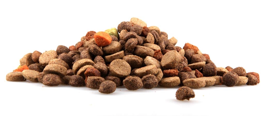 Types of Dog Foods