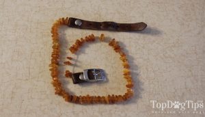 Amber Crown Natural Flea and Tick Collars for Dogs