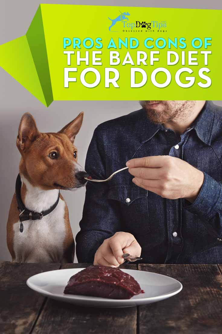 BARF Diet for Dogs