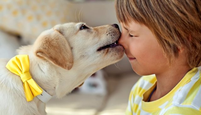 Can Children Help Reduce Dog Anxiety