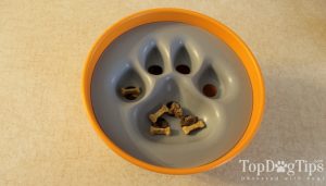 PAW5 Puzzle Feeder for Dogs Review