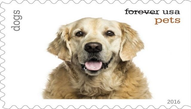 Pets on Postage Stamps